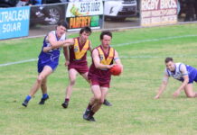 Giant statement for Dartmoor