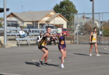 Slow second quarter hurts Tigers