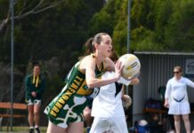 Giant win for Dartmoor