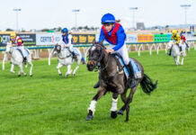 Stacey’s national success