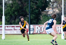 Tenacious Tigers outplay rivals