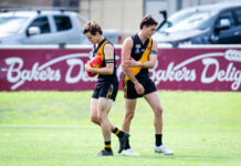 Tigers earn interleague spots