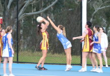 Grand final spots locked in