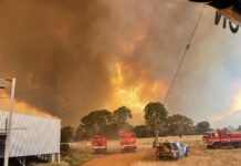 Review your plans: CFA