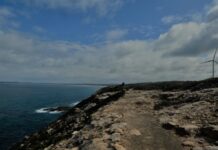 Stroll into nature…