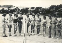 Nelson Regatta to return in 2026