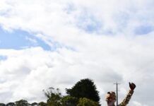 Rain can’t stop Catman from pouncing through Portland