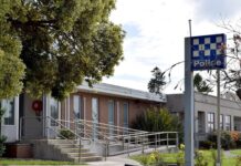 Man tasered and arrested after ramming police car