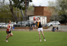 Tigers season all over