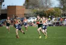 Darras delight in under 17 grand final