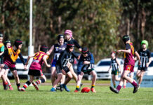 SWDFNL grand final umpires