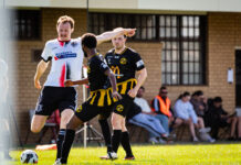 Panthers ousted from finals contention