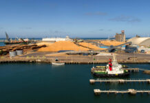 Three studies into future diversification