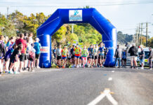 Runners ready for 3 Bays festival