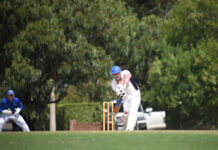 They missed finals last season, but Watt can the Eagles achieve?