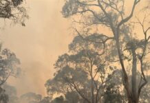 Wild conditions impact firefight