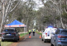 Coroner releases report on fatal crash