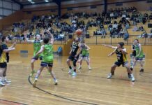 Coasters swoop on Seahawks