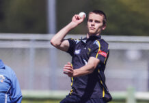 Big Colts signings help boost stocks