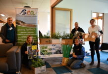 Manna gum project branches out