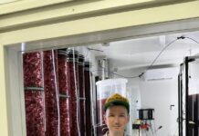 Study into potential seaweed production