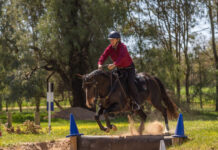 Locals star at Working Equitation state champs