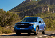 Rear view in Forester focus