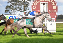 Commander Harry salutes