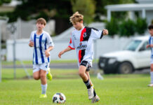 League honours for Panthers