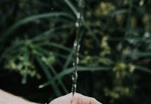 Tours to teach about water treatment