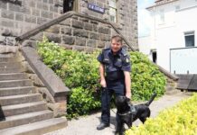 Celebrations and preparations