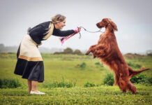 A tail-wagging spectacle