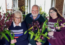 Orchid show impresses