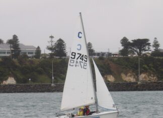 Laser Cup winners decided at Portland Yacht Club