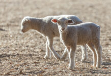 District market reports