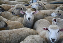 District market reports