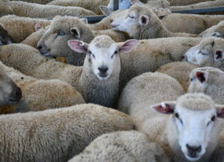 District market reports