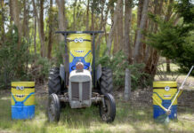 No haybales, no problem for Tarrington Christmas comp