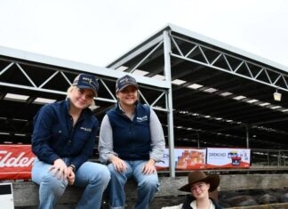 Locals busy at weaner sales