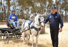 Brilliant Boyd back again