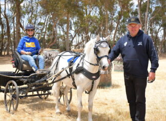 Brilliant Boyd back again