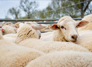 District market reports