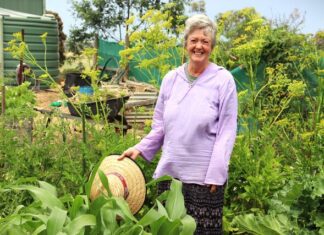 Get ready for the show