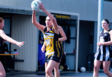 Titles teams announced