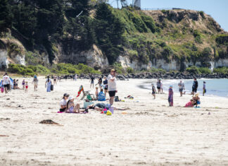 Soaking up the summer