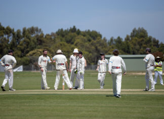 Cricket hits final round