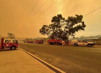 Bank bushfire appeal raises more than $600,000