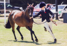 Fun for all involved