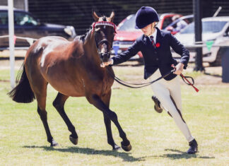 Fun for all involved