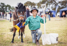 A fantastic show around the corner